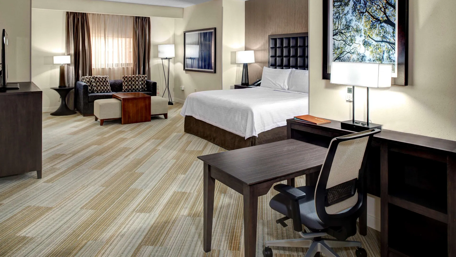 Homewood Suites By Hilton Richmond-Downtown Hotel Richmond