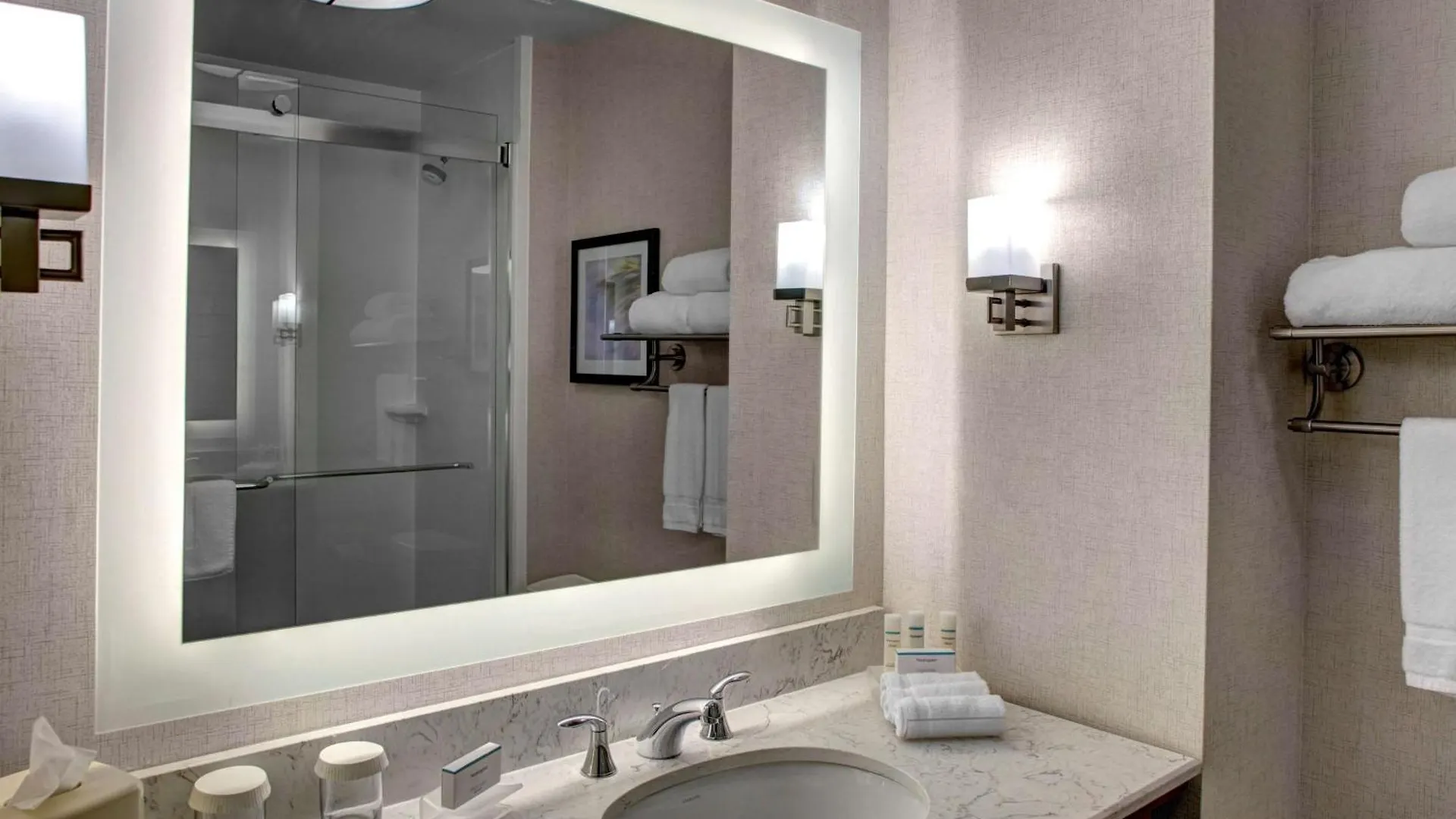 Homewood Suites By Hilton Richmond-Downtown Estados Unidos