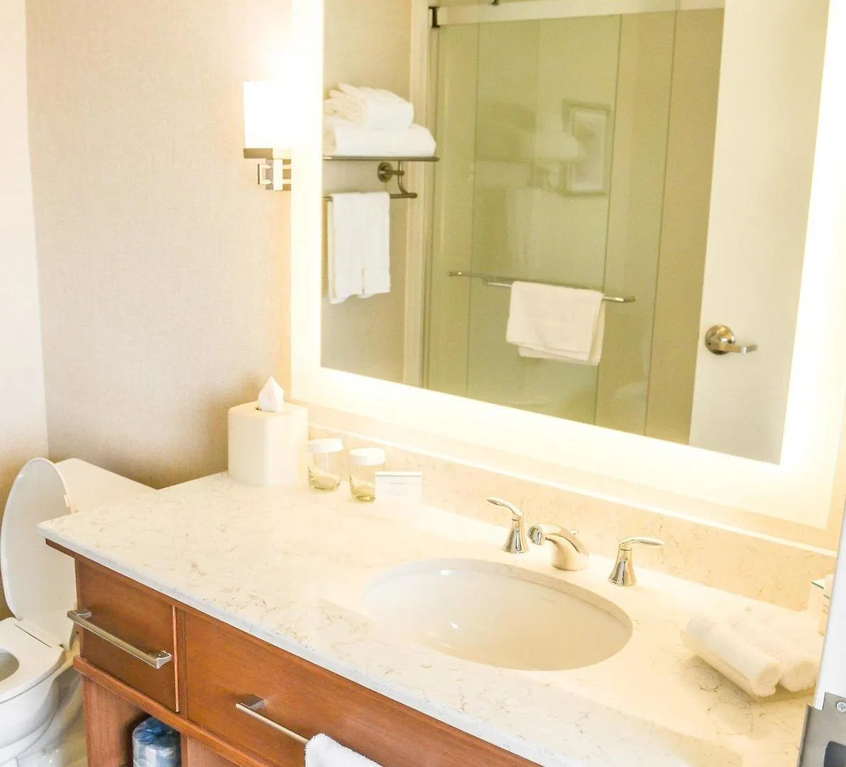 Homewood Suites By Hilton Richmond-Downtown Hotel Richmond