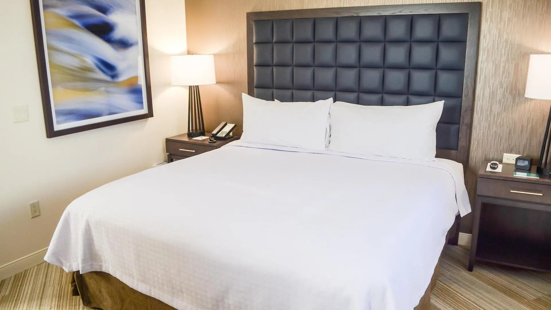 Homewood Suites By Hilton Richmond-Downtown 3*, Richmond